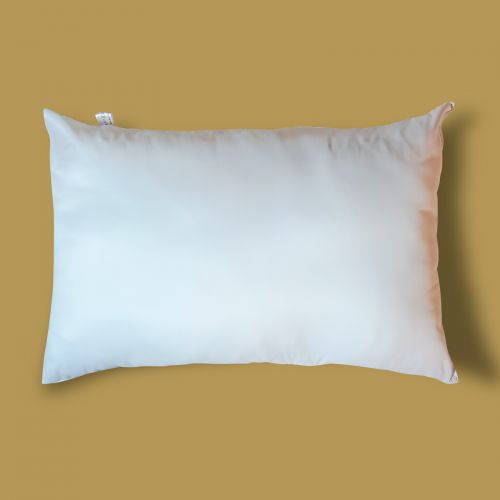 In House | Double-Face Pillow